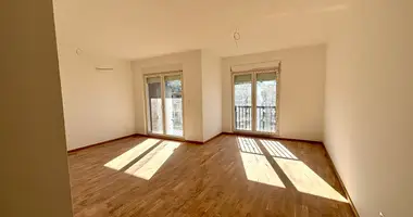 Wohnung 1 zimmer in Podgorica, Montenegro