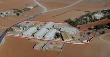 Entrepôt 2 978 m² dans Xylotýmvou, Chypre