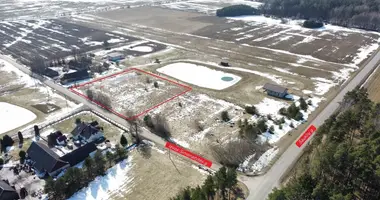 Działka w Vanagai, Litwa