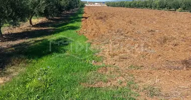 Plot of land in Paralia Dionisiou, Greece