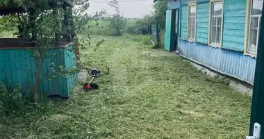 House in Liady, Belarus