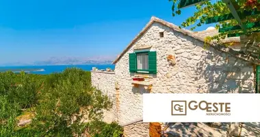 House in Opcina Dezanovac, Croatia