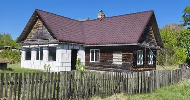 Dom w Bielicki sielski Saviet, Białoruś
