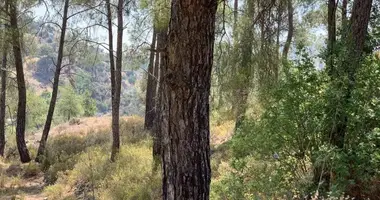 Apartment in Gerasa, Cyprus