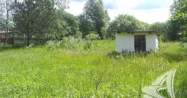 Działka w Znamienski sielski Saviet, Białoruś