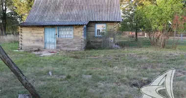 House in Malaryta District, Belarus