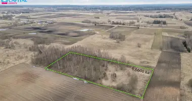 Grundstück in Geniai, Litauen