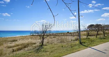Parcela en Agios Mamas, Grecia