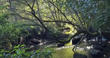 Działka w starostwo bezdańskie, Litwa