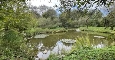 Участок земли в Боровской сельский Совет, Беларусь