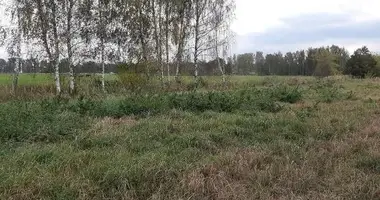 Участок земли в Adazu pagasts, Латвия