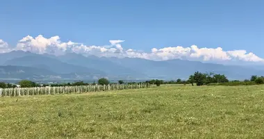 Działka w Vardisubani, Gruzja