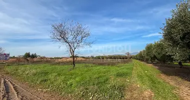 Terrain dans Gerakini, Grèce