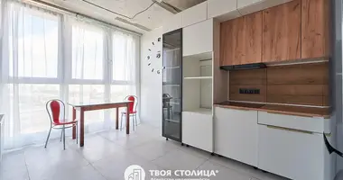 3 bedroom apartment in Minsk, Belarus