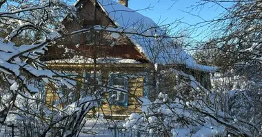 2 room house in Gatchinsky District, Russia