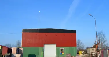 Nieruchomości komercyjne 1 513 m² w Mariampol, Litwa
