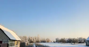 Участок земли в Ракитницкий сельский Совет, Беларусь