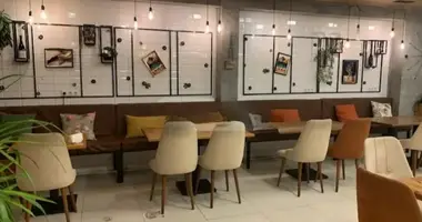 Propriété commerciale 400 m² dans Tbilissi, Géorgie