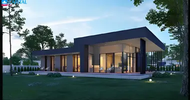 Maison dans Kaunas, Lituanie