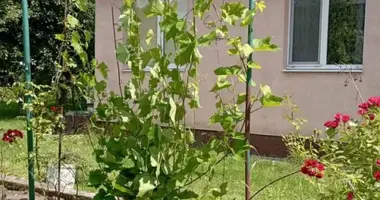 Dom w Telminski sielski Saviet, Białoruś