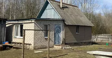House in Svisciolk, Belarus