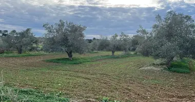 Plot of land in Dipkarpaz, Northern Cyprus