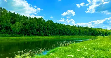 Działka w Olita, Litwa