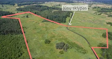 Plot of land in Bezdoniai Eldership, Lithuania
