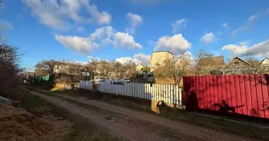 Terrain dans Astrosycki sielski Saviet, Bélarus