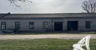 Производство 346 м² в Жабинка, Беларусь