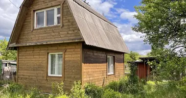 House in Bluzski sielski Saviet, Belarus