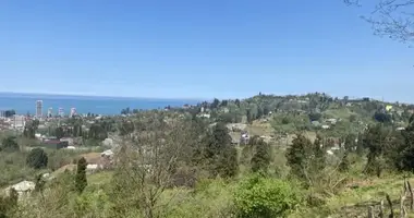 Plot of land in Peria, Georgia