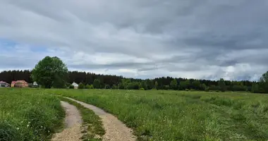 Działka w Gatchinsky District, Rosja