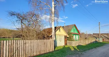 Haus in Putcynski sielski Saviet, Belarus