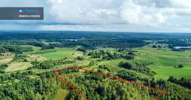 Plot of land in Elektrenai, Lithuania