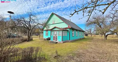 Dom w Dziewałtów, Litwa