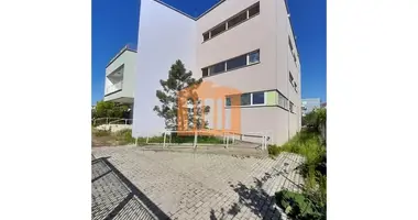 Willa 10 pokojów w Bashkia Durres, Albania