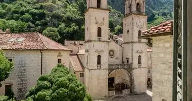 Mieszkanie 2 pokoi w Kotor, Czarnogóra