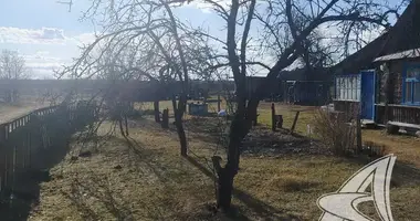 Grundstück in Vielikarycki sielski Saviet, Belarus