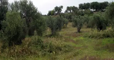 Terrain dans Kassandreia, Grèce