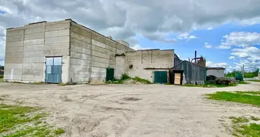 Entrepôt 2 611 m² dans Liepiel, Bélarus