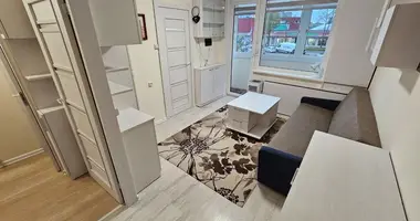 1 room apartment in Kaunas, Lithuania