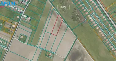 Działka w Uzpelkiai, Litwa