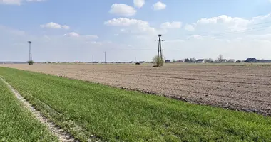 Appartement dans Rawicz, Pologne