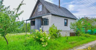 Haus in Ozyaritska Slabadski rural council, Belarus