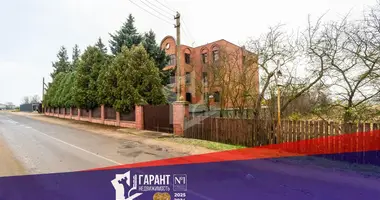 House in Fanipalski sielski Saviet, Belarus