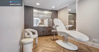 Commercial property 33 m² in Vilnius, Lithuania