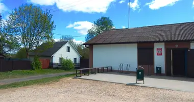 House in Mahilna, Belarus