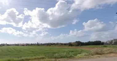 Terrain dans Empa, Chypre