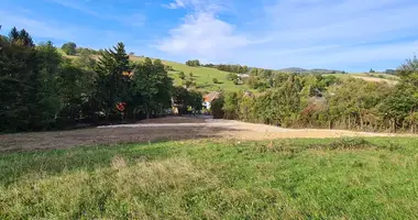 Terrain dans Irenental, Autriche